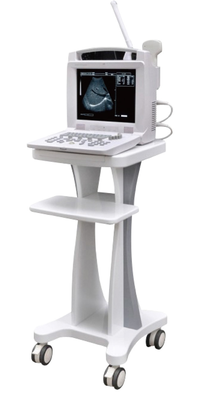 Mslpu49 Full Digital Portable Laptop Ultrasound Machine / High Resolution Ultrasound Scanner