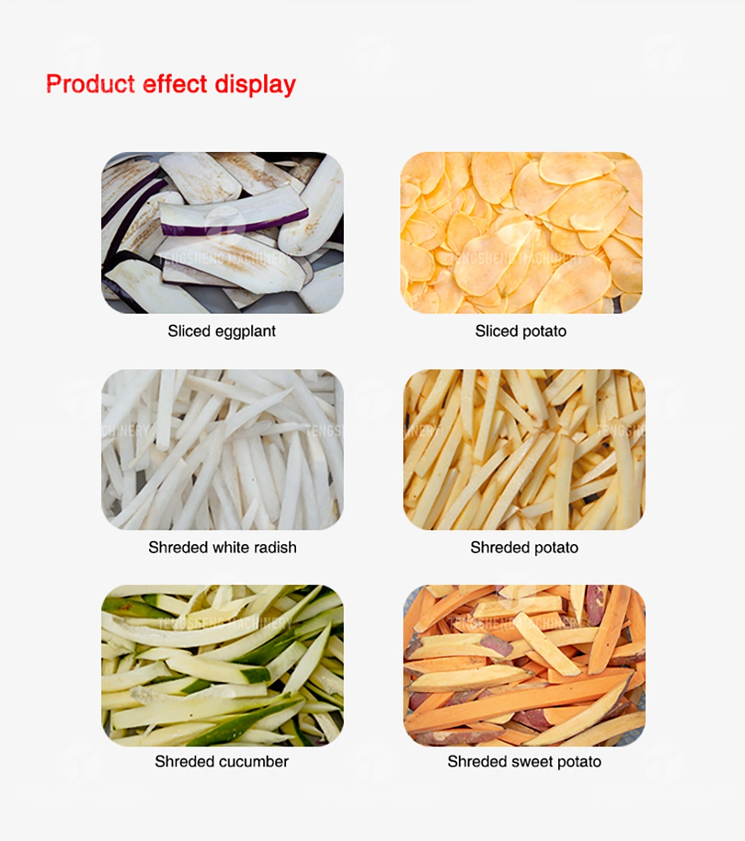 Multi-Functional Vegetable Cutting Machine Potato Cucumber Papaya Sweet Potato Cutting Strips (TS-Q128)