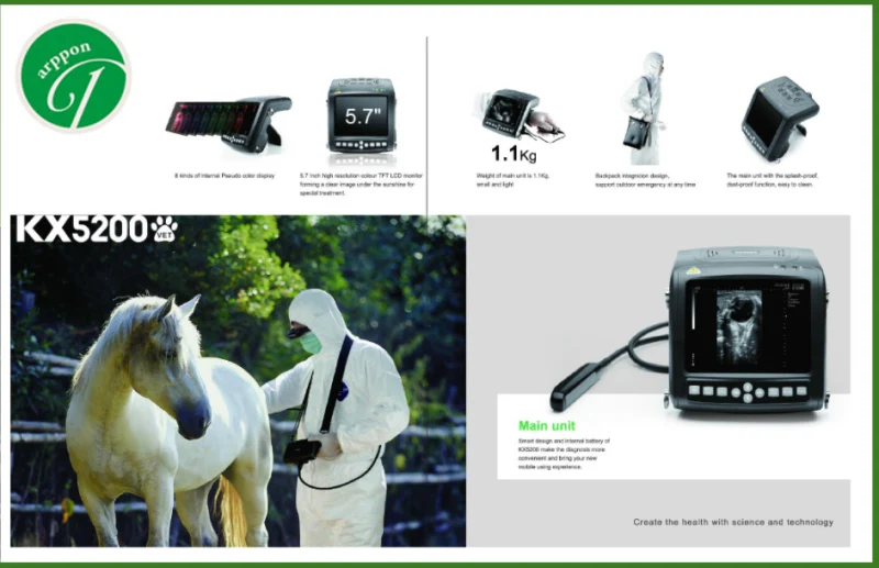 Portable Handheld Palm Wrist Veterinary Ultrasound Scanner Veterinary Ultrasound Machine Price