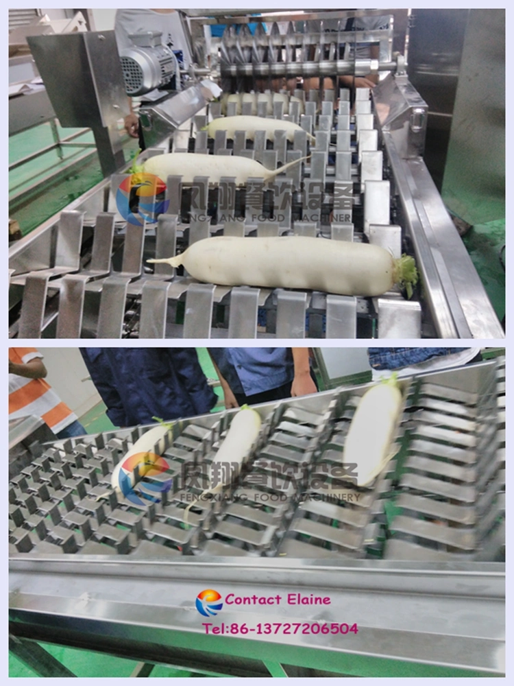 Automatic Radish Turnip Carrot Sections Cutting Cutter Slicer Slicing Machine