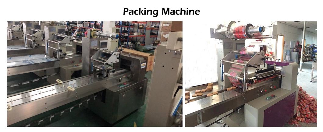 PLC Control Biscuit Making Machine Cookie Production Line Marie Biscuit Forming Machine