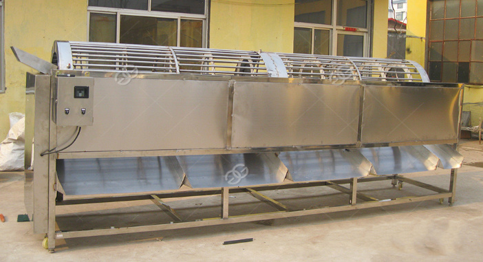 Electric Automatic Sorting Machine for Grading of Fruits and Vegetables