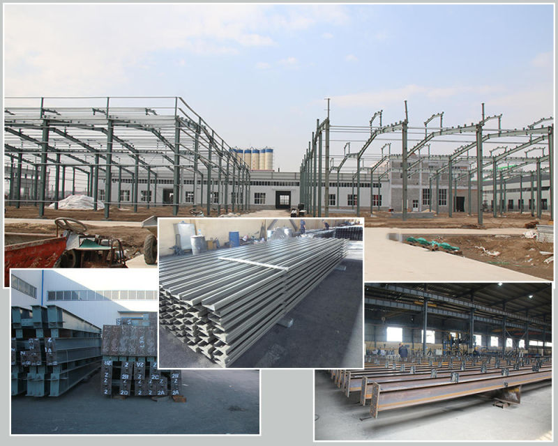 Prefab Steel Structure Metal Building for Food Processing Plants