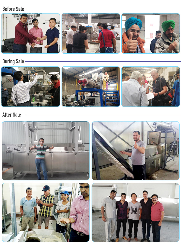 Dried Pet Food Machine Extruders Dog Food Processing Plant