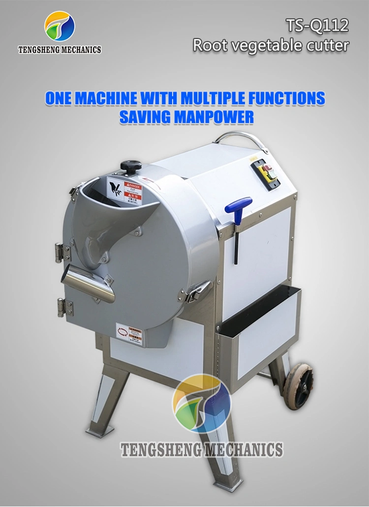 Efficient with Best Price Fruit Tomato Bamboo Slicing Machine Carrot Dicing Shredding Slicing Machine (TS-Q112)