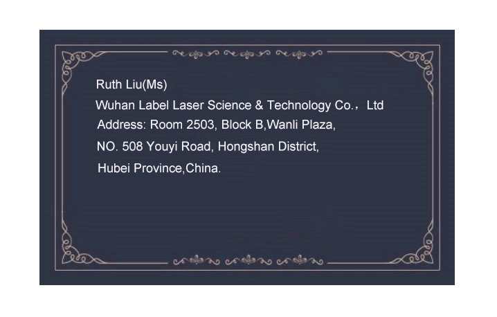 Laser Marking System for Car Body Label Cutting and Engraving