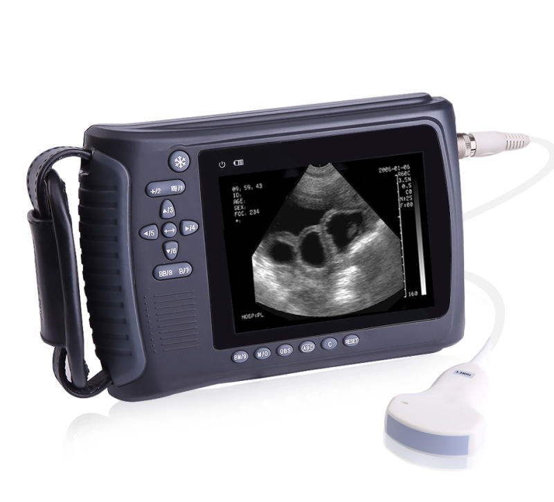 Promotion Animal Ultrasound Machine Vet Ultrasound Device Dog Pregnant Ultrasound Scanner Mslvu22