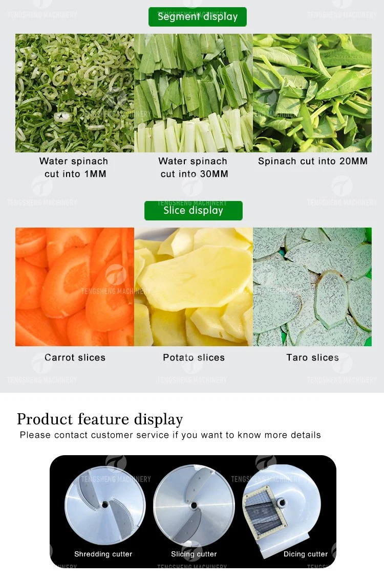 Multi-Functional Chopping Machine for Green Leafy Vegetables Fruit Strip Cutting Machine (TS-Q118)