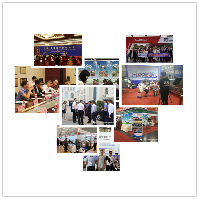 Meat Cubes Cutter	Cold Cut Meat Cutting Machine	Frozen Meat Cutting Machine