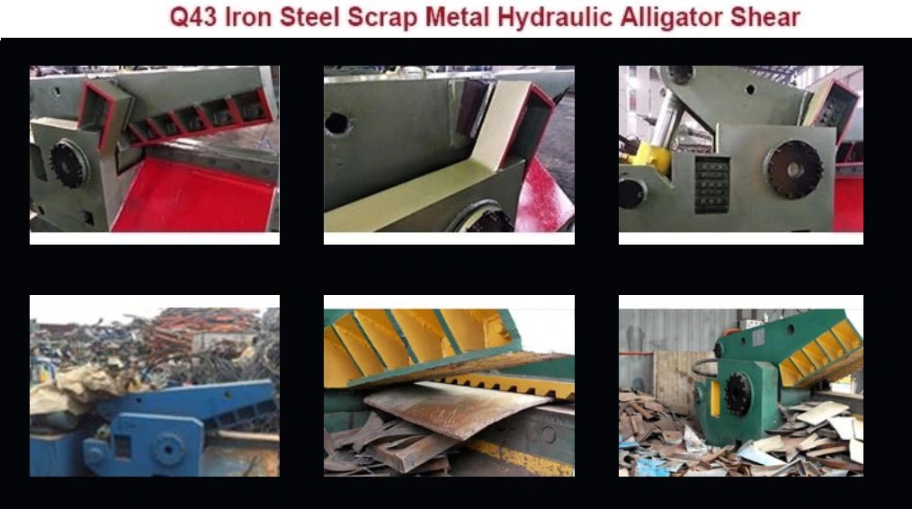 Q43-315 Hydraulic Alligator Aluminum Steel Bar Cutting Machine