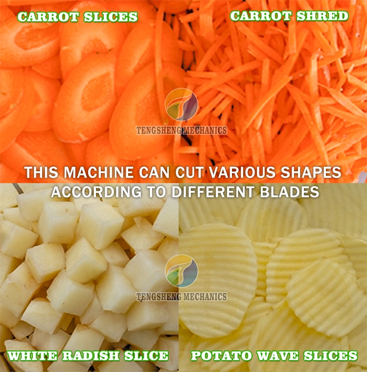 Food Processor Cassava Cucumber Slicer Potato Dicing Machine Vegetable and Fruit Cutting Machine (TS-Q112)