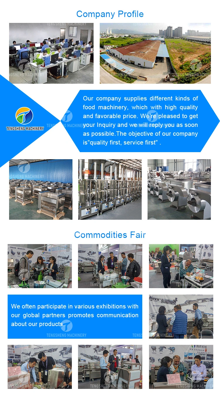 Food Processor Cassava Cucumber Slicer Potato Dicing Machine Vegetable and Fruit Cutting Machine (TS-Q112)