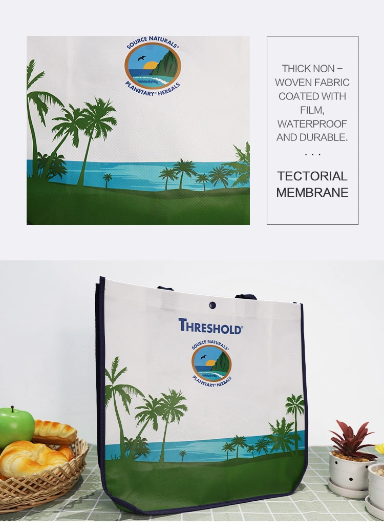 Custom Logo Printed Recycle Ultrasonic Grocery Tote Fabric PP Non Woven Shopping Bag