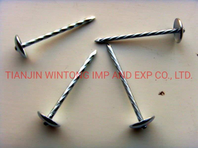 Galvanized Roofing Nails Umbrella Head Twisted Shank Smooth Shank