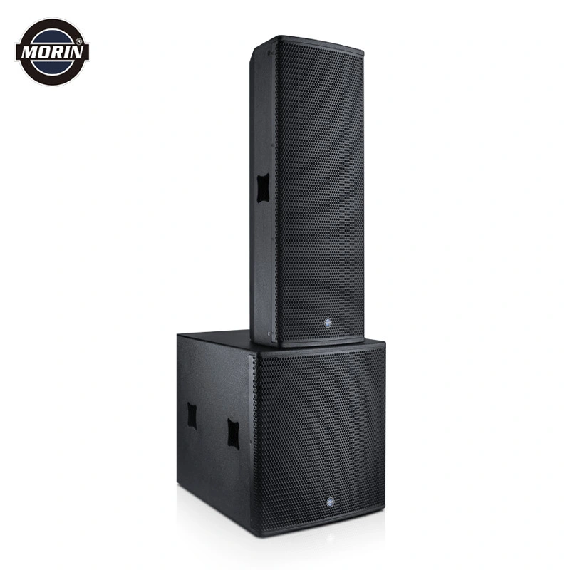 Dual Professional Passive 12inch Speaker Using at The Public Performance