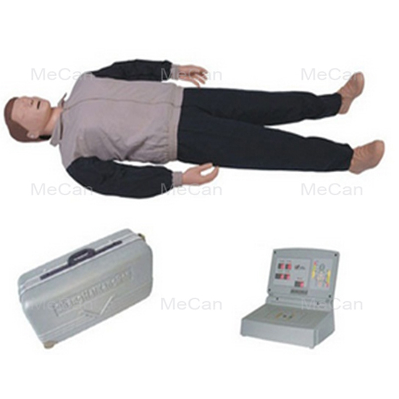 Educational Model Training Manikin Whole Body Basic CPR Training Model