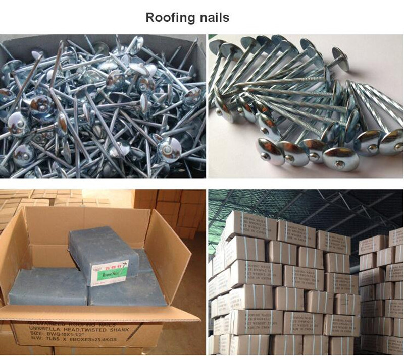 Twisted Shank and Plain Shank Roofing Nails