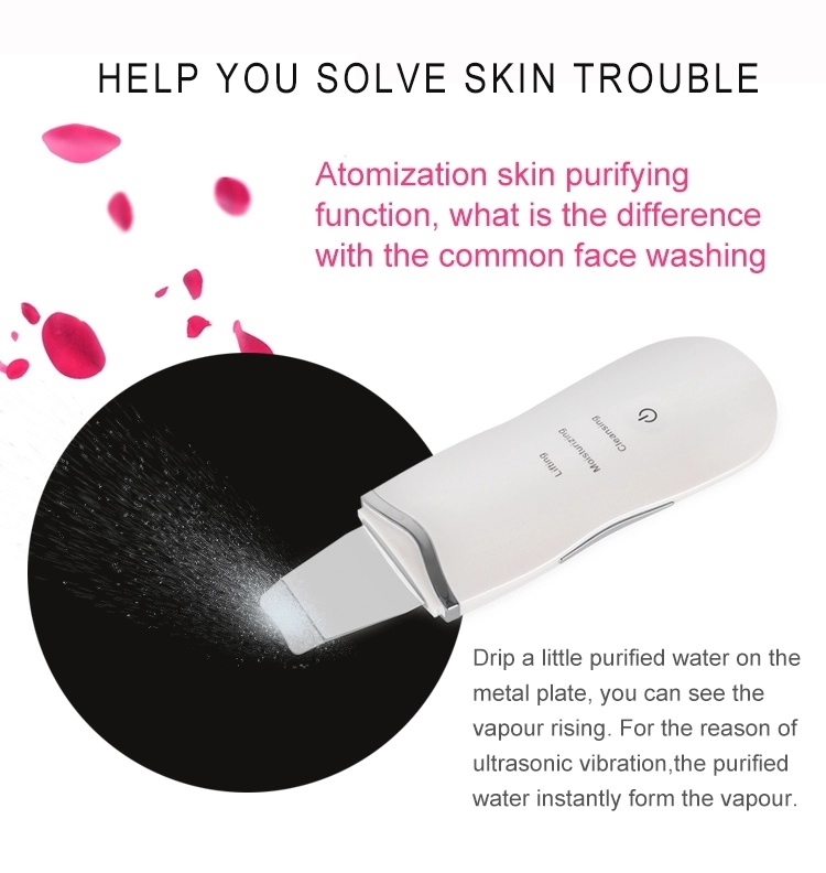 Ultrasonic Face Cleaner Skin Scrubber Ultrasound Vibration Massager Skin