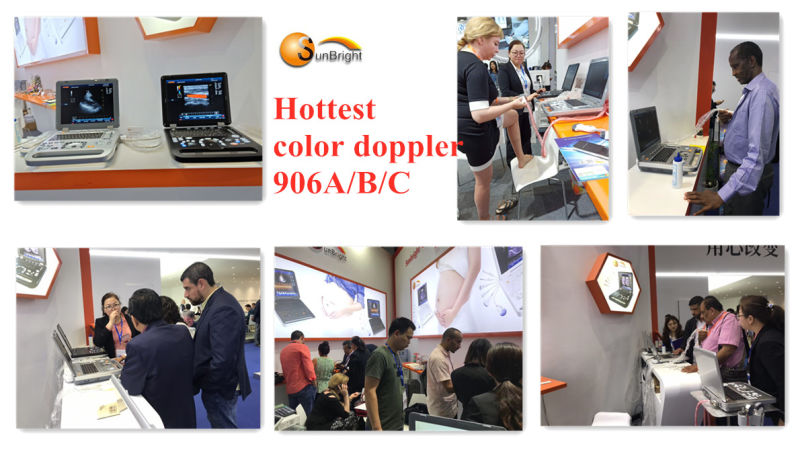 Latest Veterinary Ultrasound Laptop 3D 4D Color Doppler Animals Ultrasound