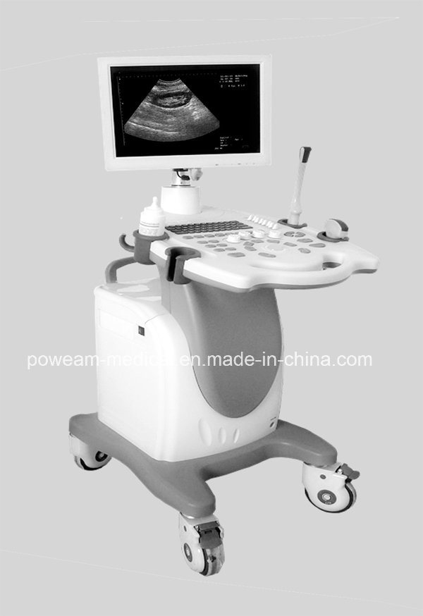 Why21- Hospital Equipment Portable B/W Ultrasound Scanner