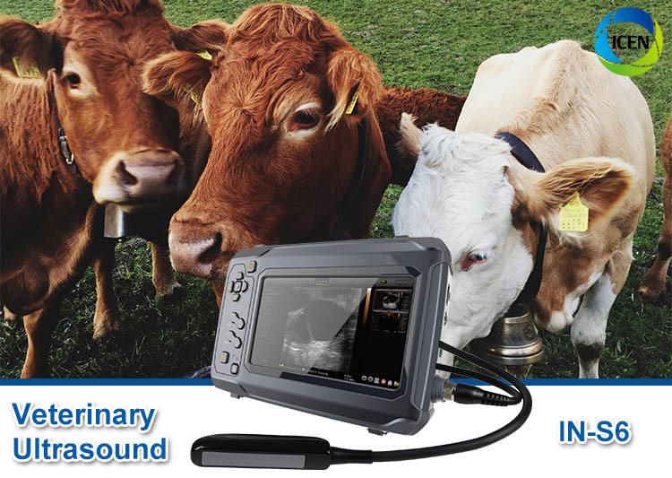 IN-S6 Ultrasound Machine For Veterinary Animal Portable Ultrasound Machine Price