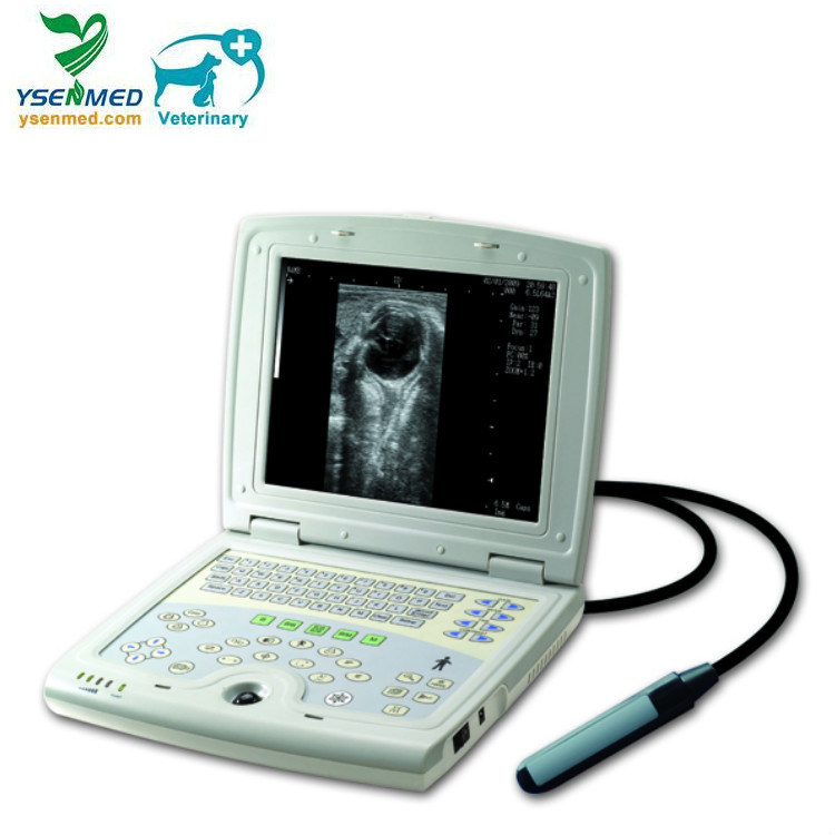 Ysb5000V Veterinary Hospital Laptop Pet Ultrasonic Animal Diagnostic Ultrasound