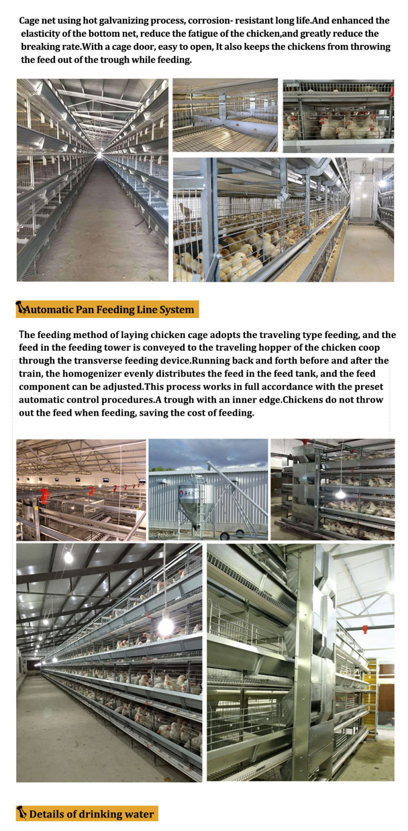 Long Span High Quality Technical Feeding Poultry House Equipment