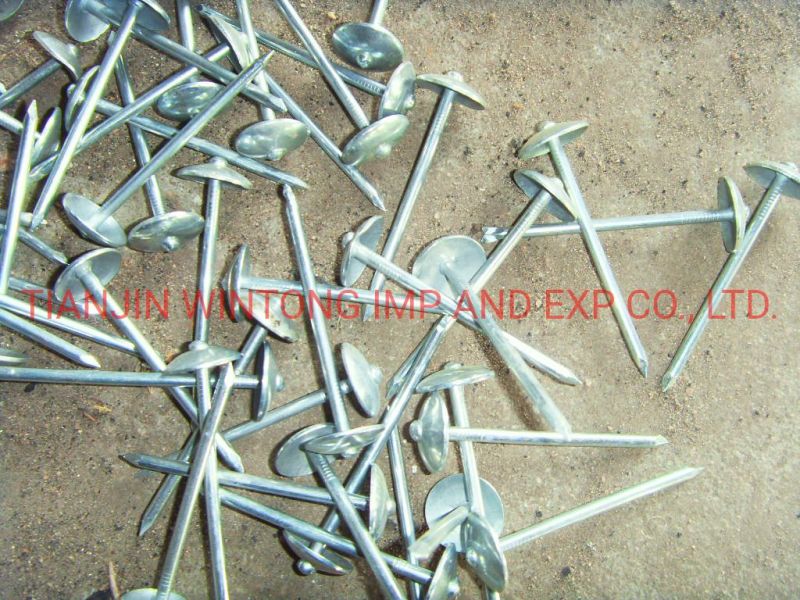 Galvanized Roofing Nails Umbrella Head Twisted Shank Smooth Shank
