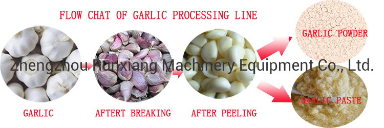 Ginger Garlic Paste Making Machine|Garlic Breaking Machine|Gralic Processing Machine