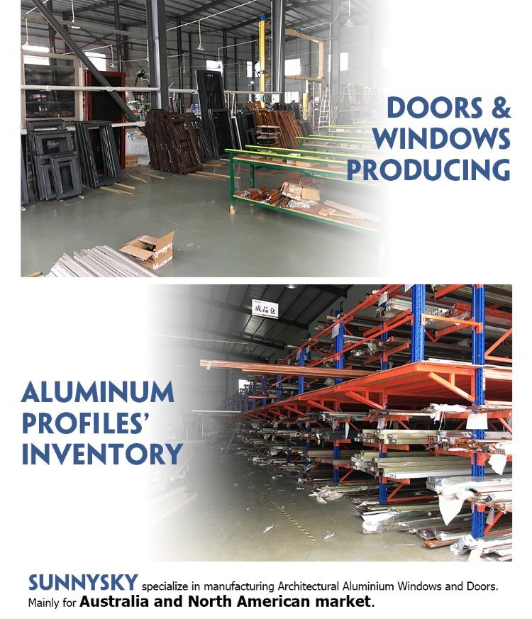Miami-Dade County Approved Aluminum Glass French Pivot Doors Exterior
