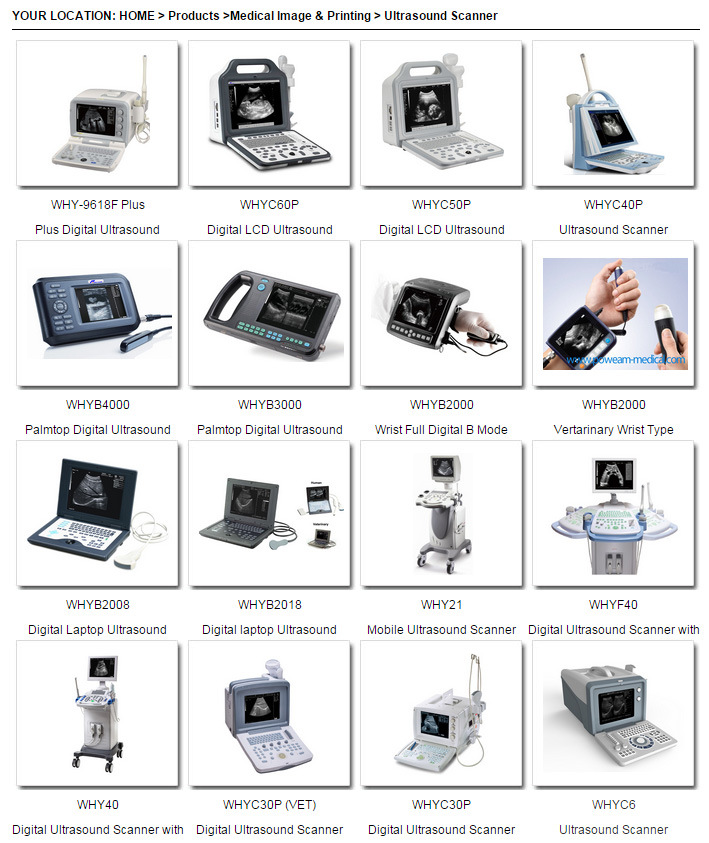 Why21-Digital Palm Smart Cow Veterinary Ultrasound Scanner