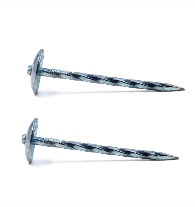 Unbrella Head Twisted Shank Roofing Nail Common Nail
