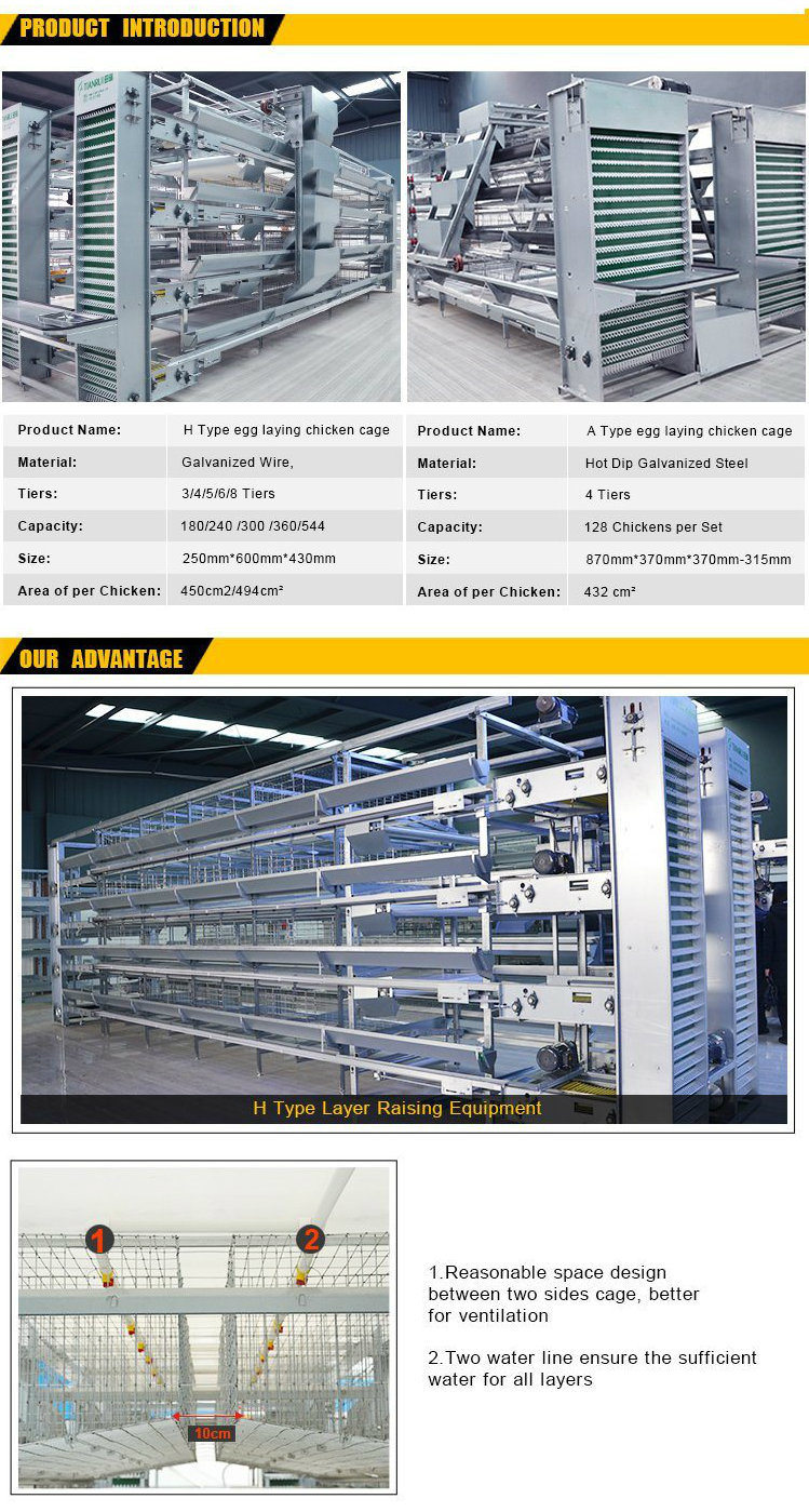 Long Span High Quality Technical Feeding Poultry House Equipment
