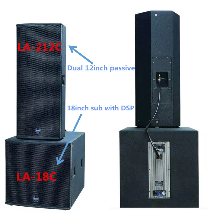 Dual Professional Passive 12inch Speaker Using at The Public Performance