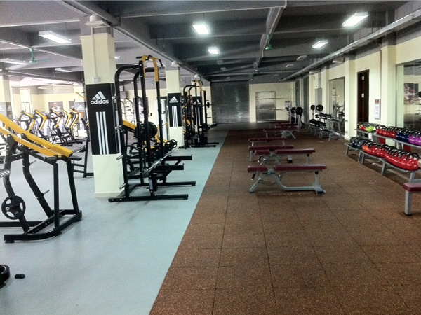 Fitness Equipment / Gym Equipment for Tibia Dorsal Flexion (HS-1034)
