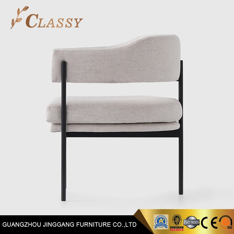 Luxury Modern Chair Dining Chair with Steel Frame for Cafe Restaurant