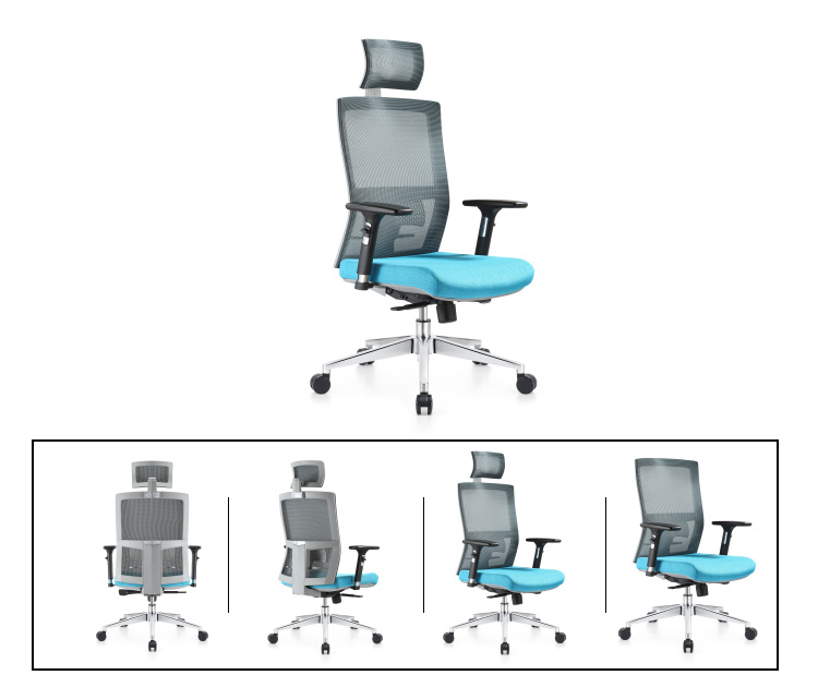 Foshan Executive Special Mesh Computer Office Chair with Lumbar Support