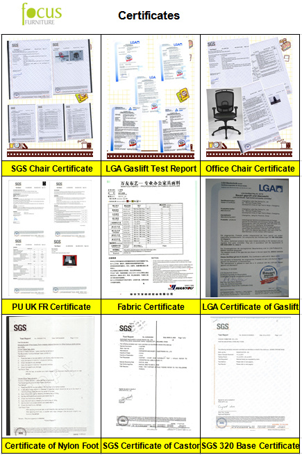 BIFMA Executive Director Computer Swivel Office Full Mesh Chair (FS-1002)