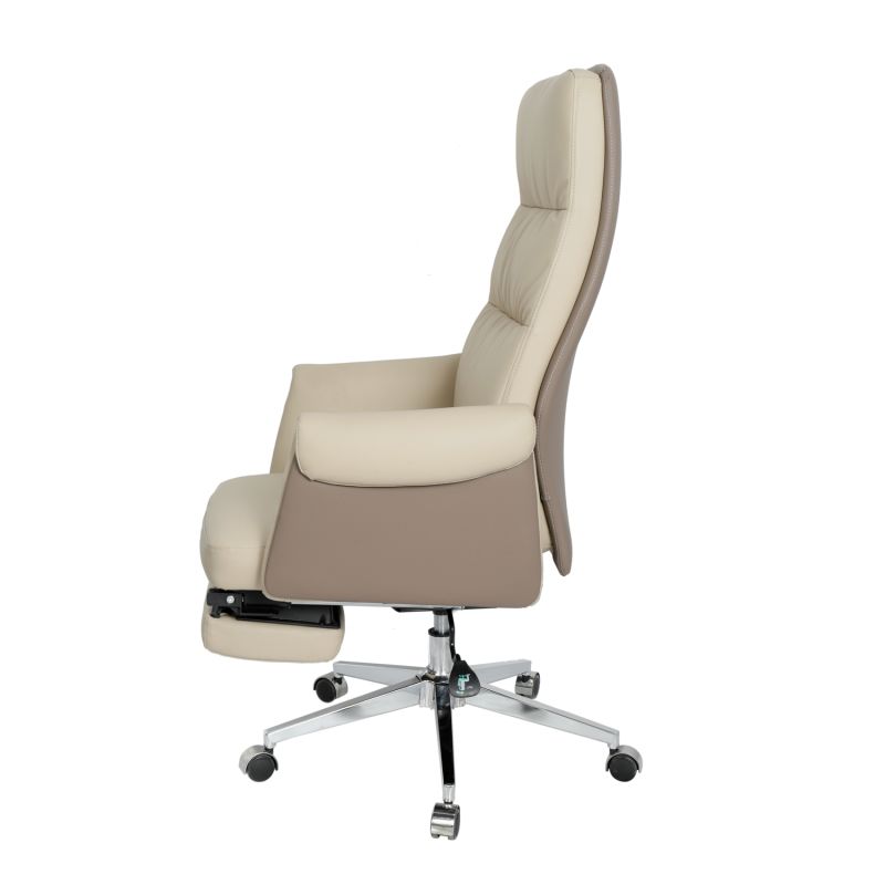 Executive Ergonomic Home Office Chair with Lumbar Support and Padded Arms