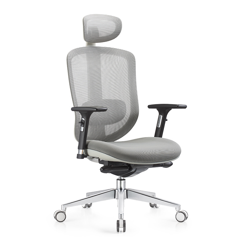 Adjustable Medium Back Staff Ergonomic Mesh Office Chair
