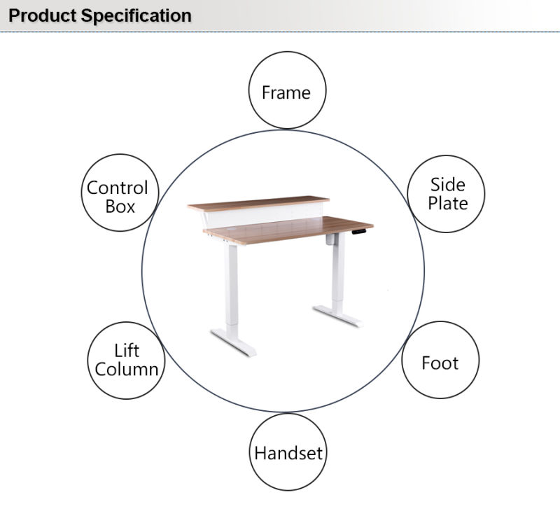 Ergonomic Office Furniture Electric Single Motor Sit Stand Adjustable Standing Desk