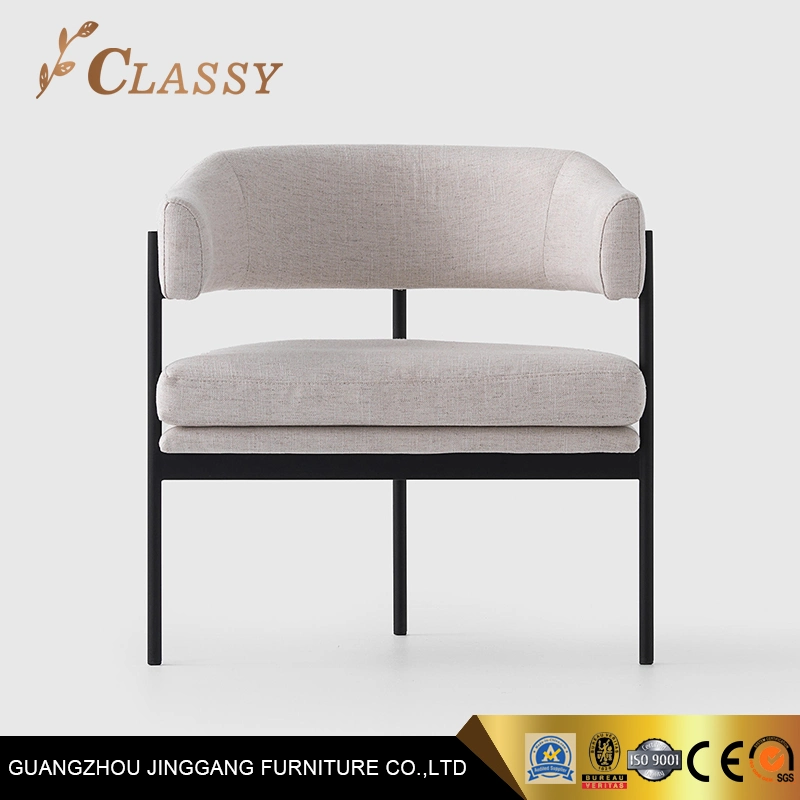 Luxury Modern Chair Dining Chair with Steel Frame for Cafe Restaurant