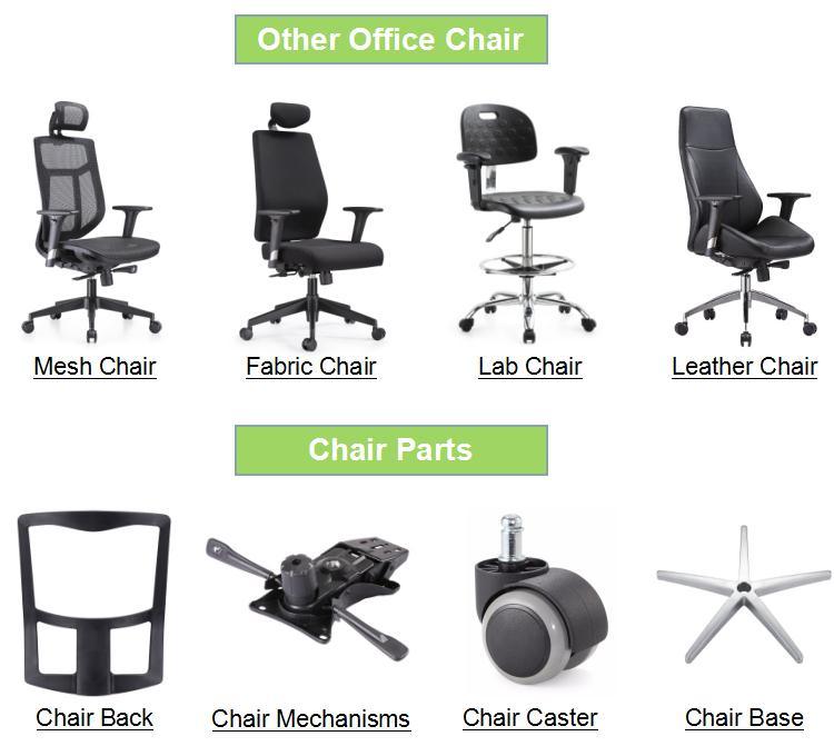 Foshan Executive Special Mesh Computer Office Chair with Lumbar Support