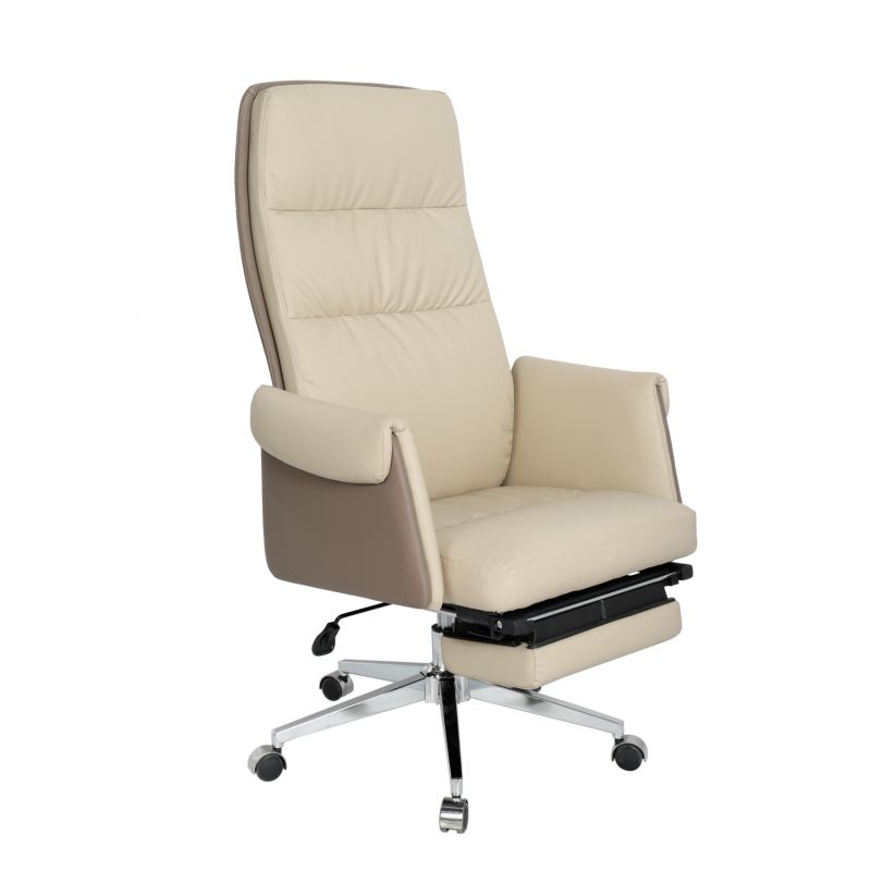 Executive Ergonomic Home Office Chair with Lumbar Support and Padded Arms