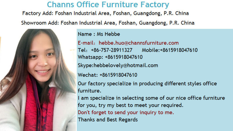 Foshan Furniture Metal Frame Computer Table Office Furniture Desk (CAS-MD1809)