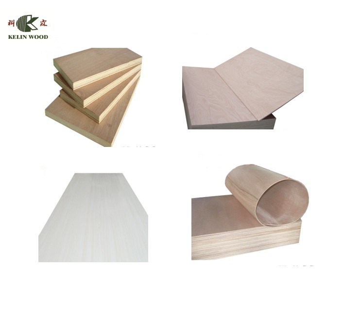 18mm Waterproof Marine Plywood Board/Film Faced Plywood Sheet for Sale