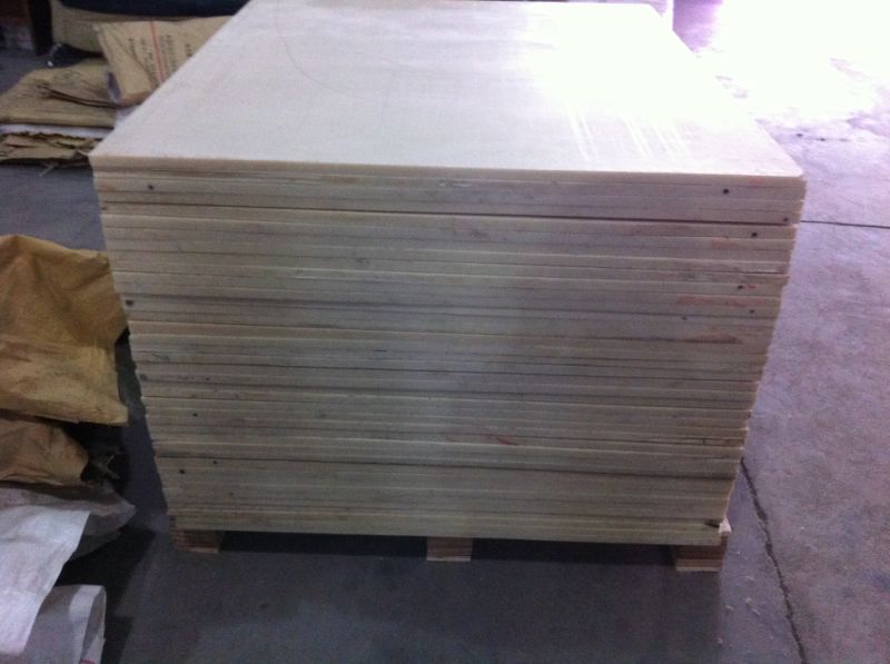 100% Virgin Nylon Sheet, PA6 Sheet, PA66 Sheet, Plastic Sheet Colored White, Blue, Yellow, Green (3A6003)