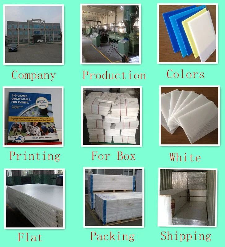 Polypropylene PP Pallet Divider Sheets for Bottles