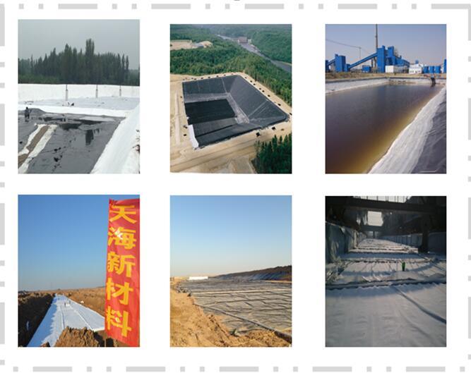 Fish Farm Used HDPE Plastic HDPE Geomembrane Dam Lining