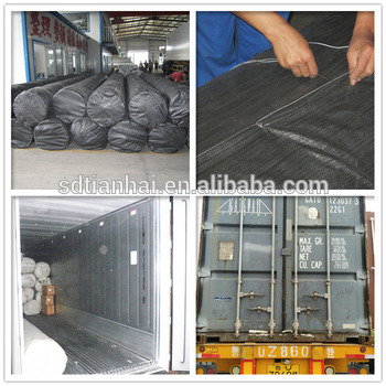 Plastic Swimming Pool Cover Roll Fish Farm HDPE Geomembrane